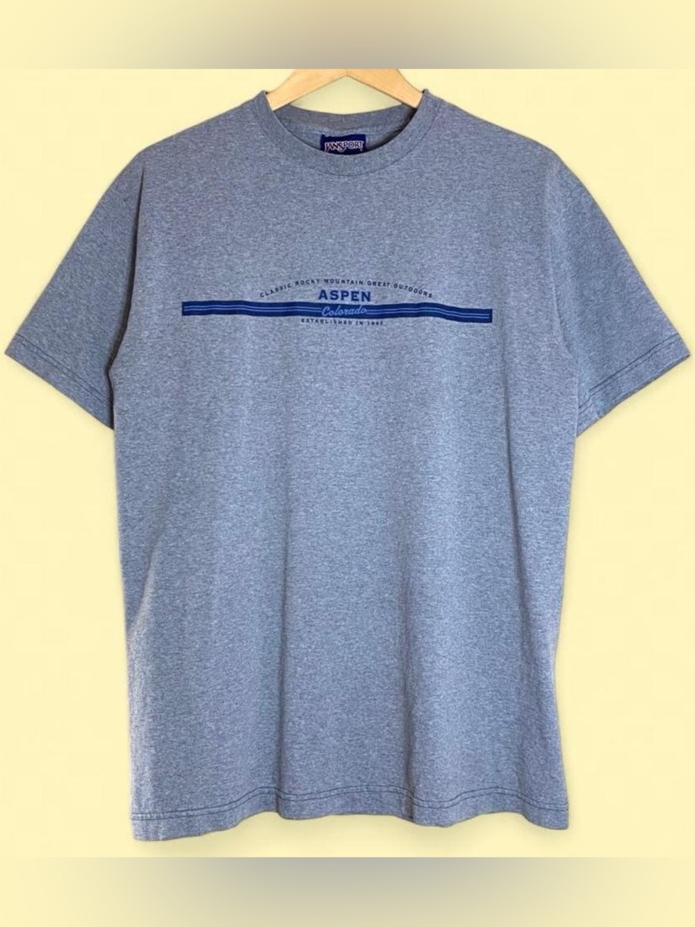 Vintage JanSport Aspen Colorado Graphic Tee Heather Gray Rocky Mountain Outdoors
